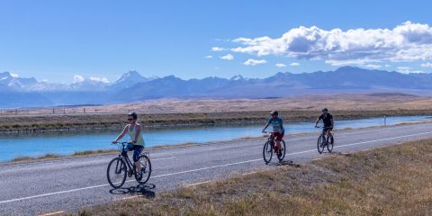 Bike shops and service