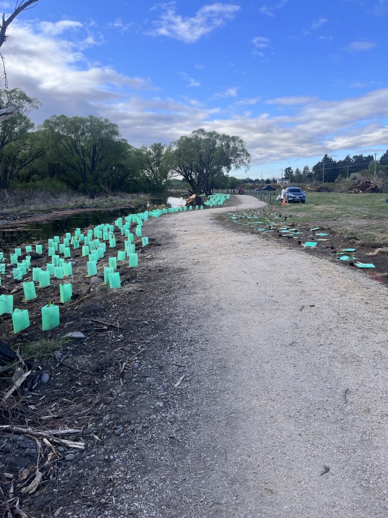 Kurow Wetlands Project - October 2023