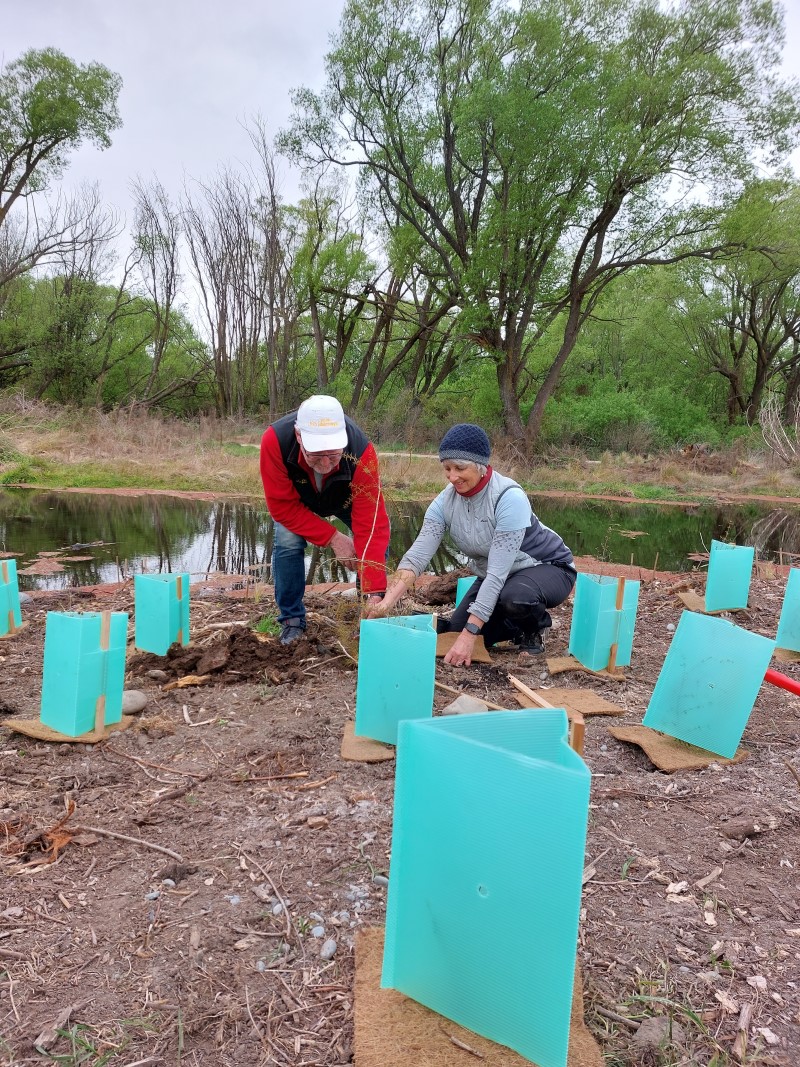 Kurow Wetlands Project - October 2023